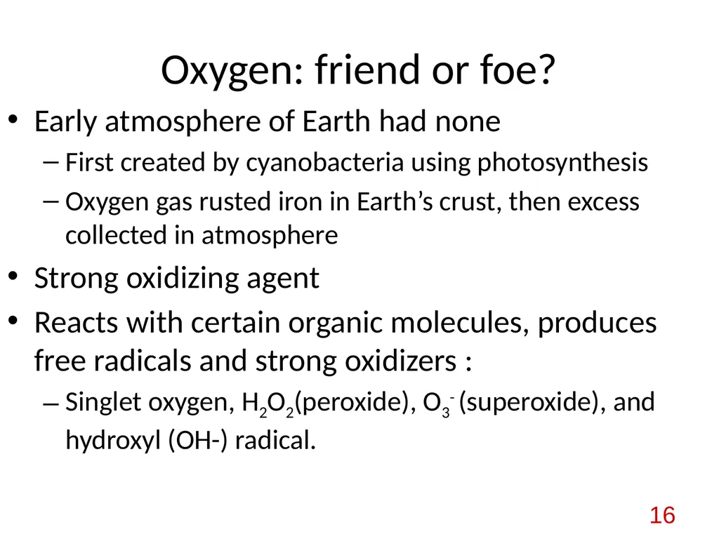 Bacterial nutrition: types and modes of nutrition - slide 16 of 26