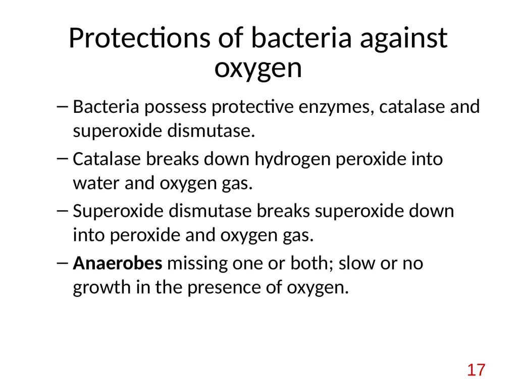 Bacterial nutrition: types and modes of nutrition - slide 17 of 26
