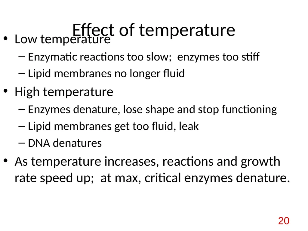 Bacterial nutrition: types and modes of nutrition - slide 20 of 26