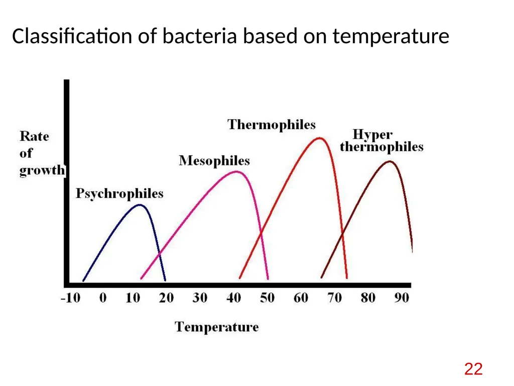Bacterial nutrition: types and modes of nutrition - slide 22 of 26