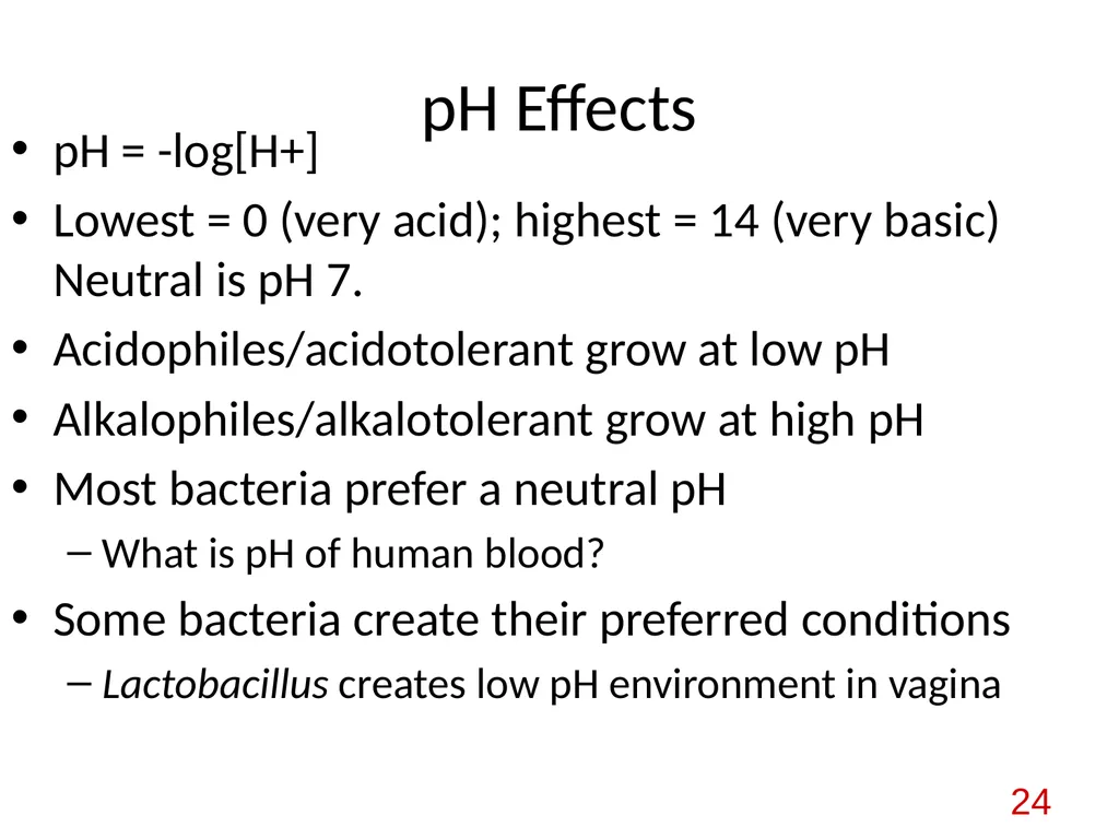 Bacterial nutrition: types and modes of nutrition - slide 24 of 26