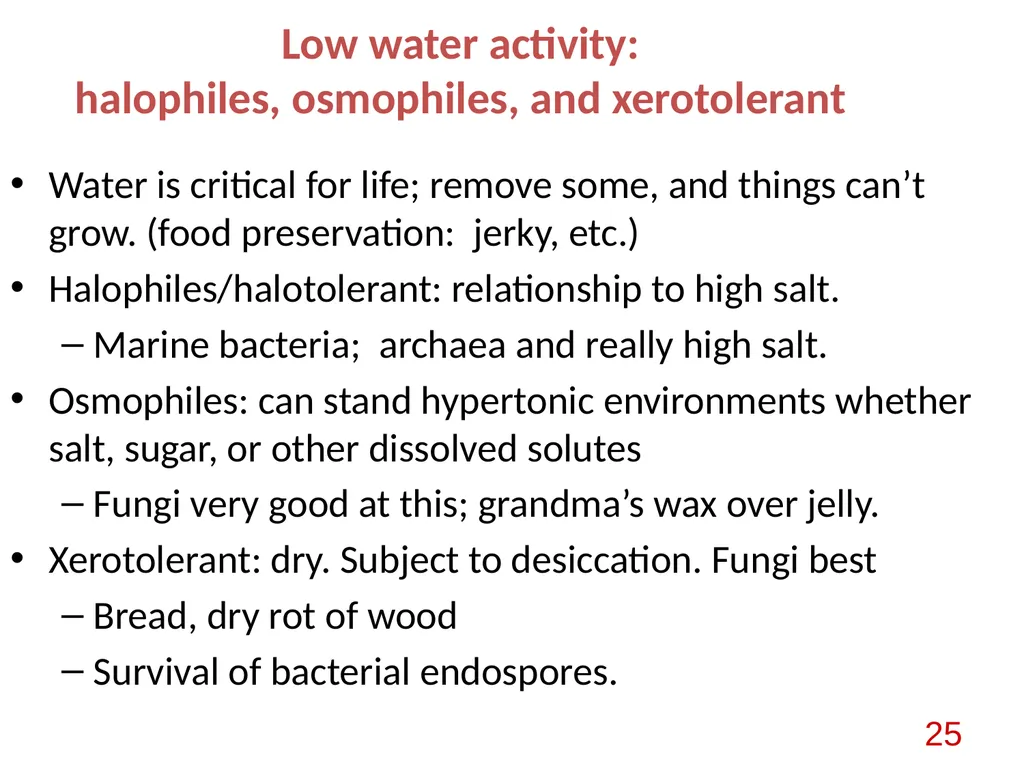 Bacterial nutrition: types and modes of nutrition - slide 25 of 26