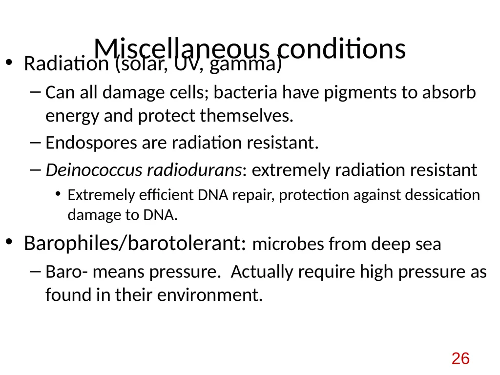 Bacterial nutrition: types and modes of nutrition - slide 26 of 26