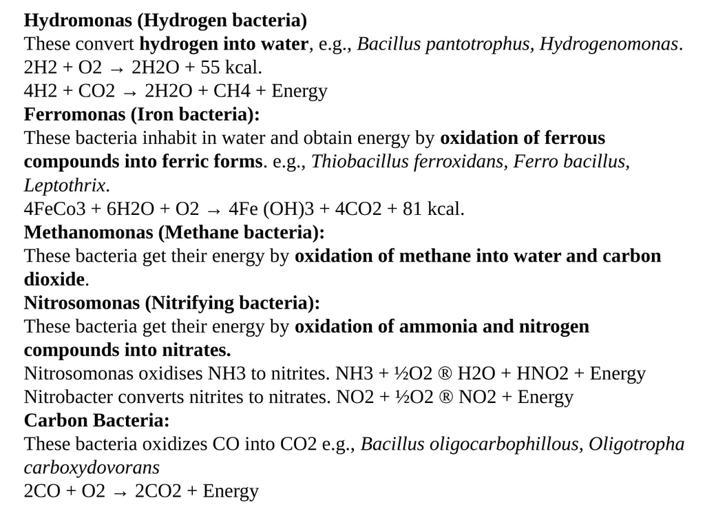 Bacterial nutrition: types and modes of nutrition - slide 9 of 26