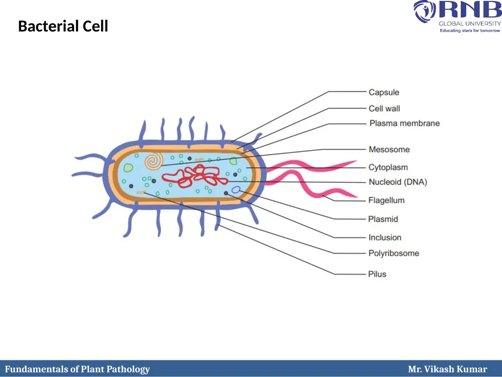 Course Name: Fundamentals of Plant Pathology - slide 6 of 17