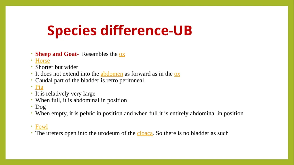 VETERINARY ANATOMY-UNIT-6 TOPIC- URINARAY - slide 16 of 20