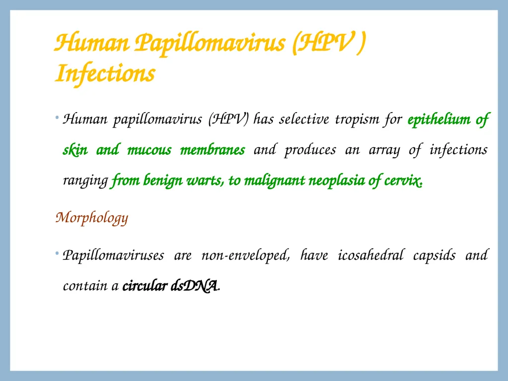ONCOGENIC VIRUSES DR. PRIYANKA CHATURVEDI - slide 37 of 51