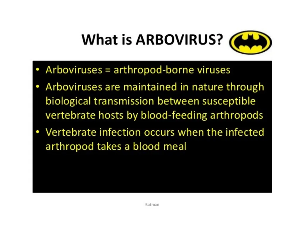 Viral Encepalitis BSc.3 Viral encephalitis is - slide 4 of 17