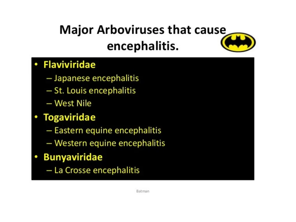 Viral Encepalitis BSc.3 Viral encephalitis is - slide 5 of 17