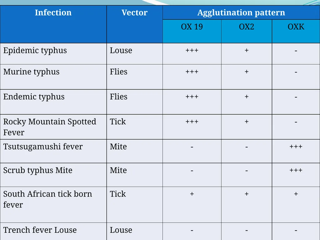 A case of Dengue Virus & Ricketssia co-infection - slide 7 of 16
