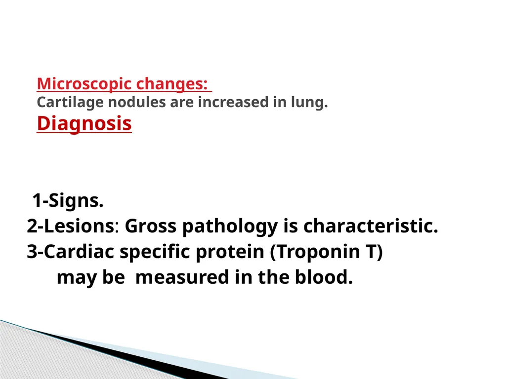 poultry diseases 1 (xpkkoju) fourth stage - slide 14 of 16