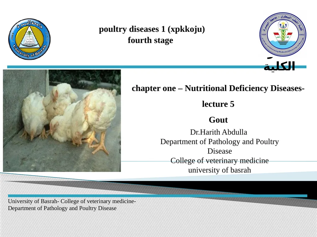 poultry diseases 1 (xpkkoju) fourth stage