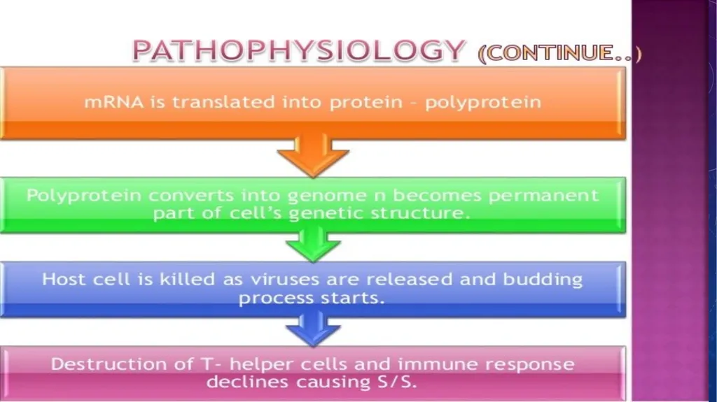objective Introduce the HIV Define the HIV Discuss - slide 15 of 23