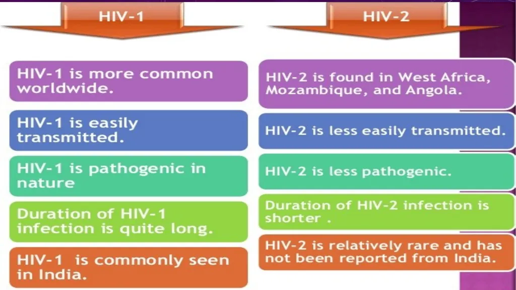 objective Introduce the HIV Define the HIV Discuss - slide 6 of 23