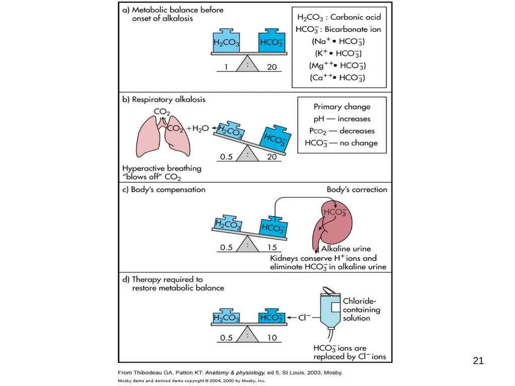 1 Acid and Base Balance and Imbalance 2 pH Review - slide 21 of 31