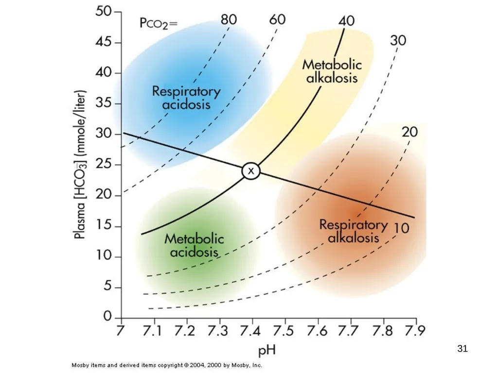 1 Acid and Base Balance and Imbalance 2 pH Review - slide 31 of 31
