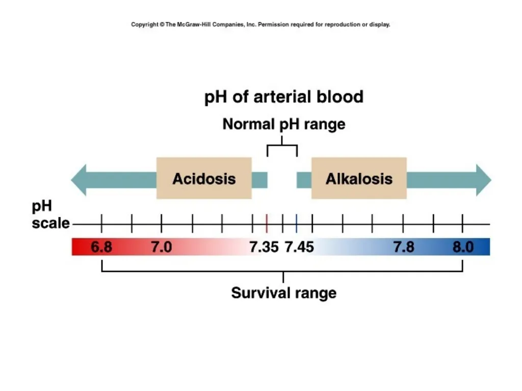 1 Acid and Base Balance and Imbalance 2 pH Review - slide 7 of 31
