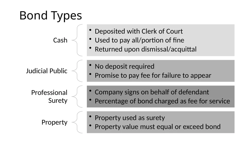 Criminal Justice System Identify state-specific - slide 21 of 30