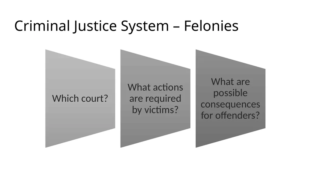 Criminal Justice System Identify state-specific - slide 13 of 30