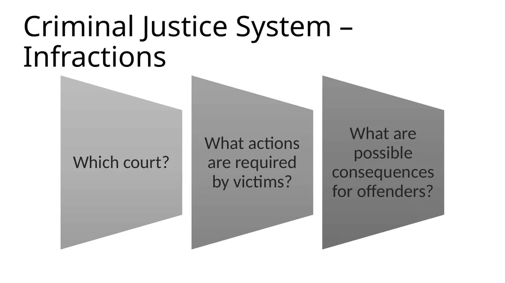 Criminal Justice System Identify state-specific - slide 7 of 30