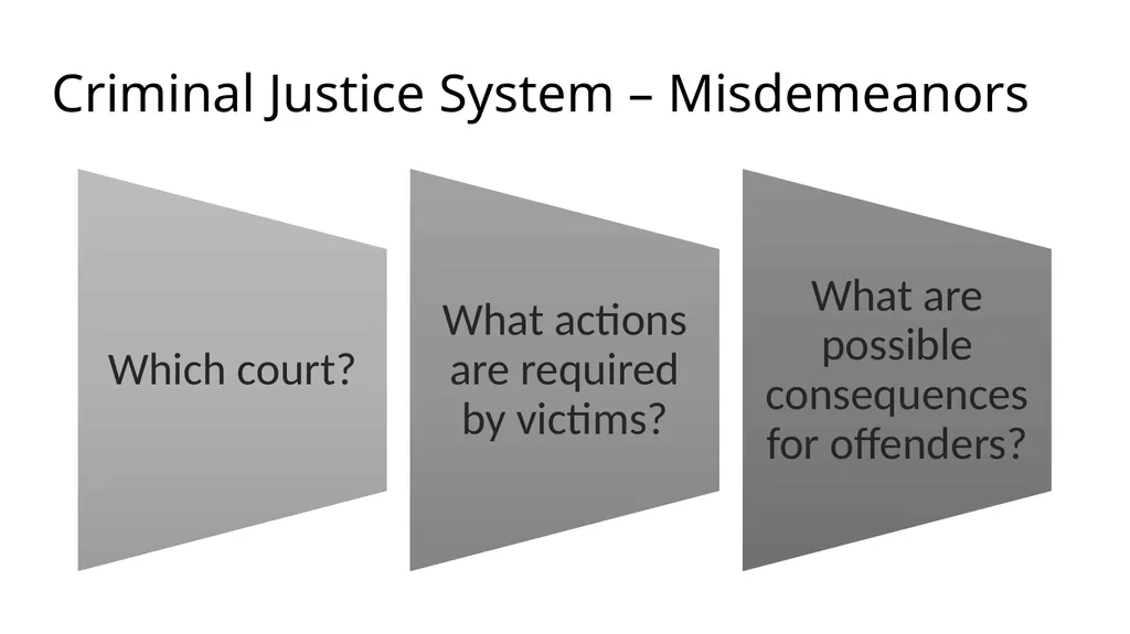Criminal Justice System Identify state-specific - slide 9 of 30