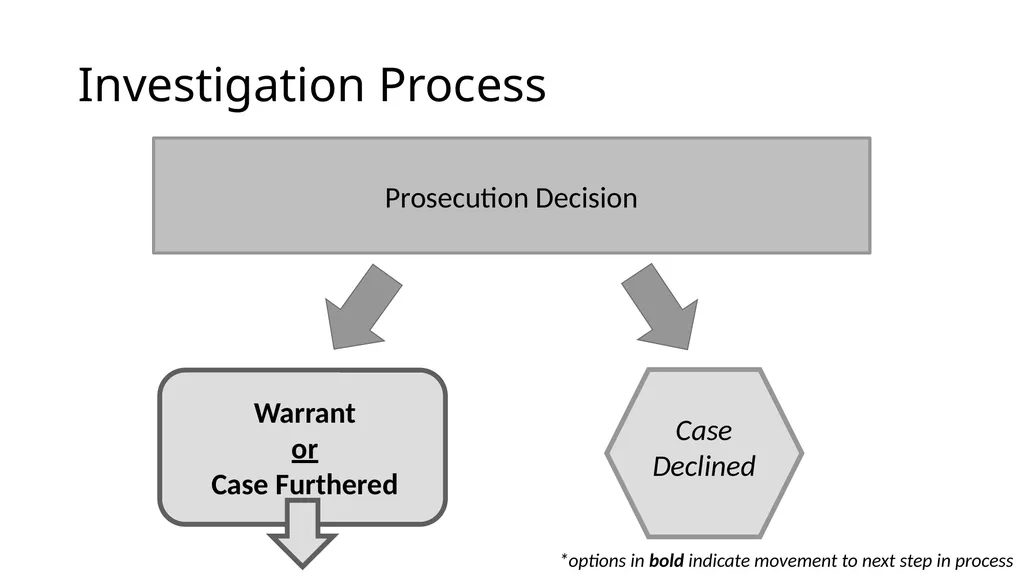 Criminal Justice System Identify state-specific - slide 20 of 30