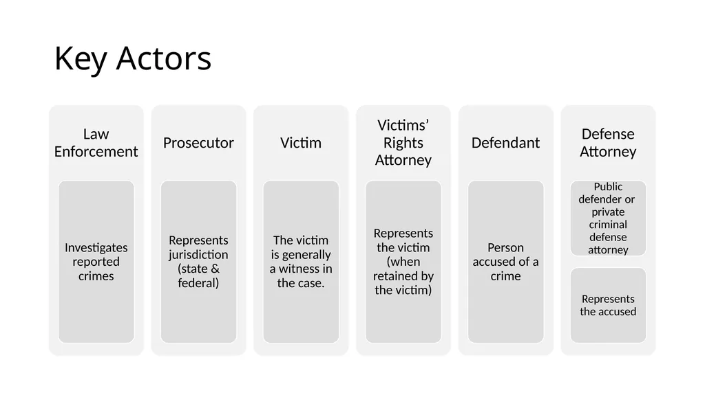 Criminal Justice System Identify state-specific - slide 17 of 30