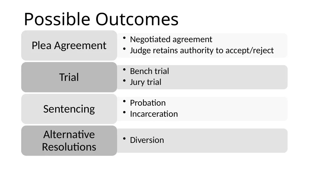 Criminal Justice System Identify state-specific - slide 24 of 30