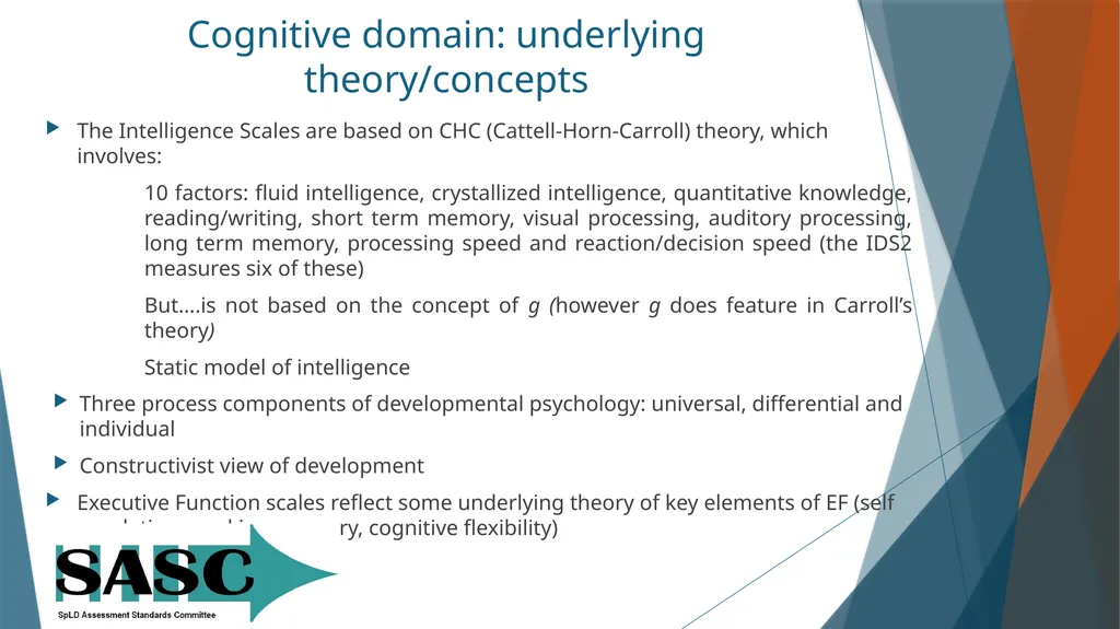 The Intelligence and Development Scales-second - slide 6 of 25