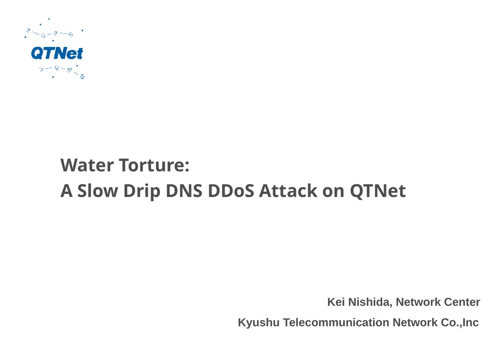 Water Torture: A Slow Drip DNS DDoS Attack on