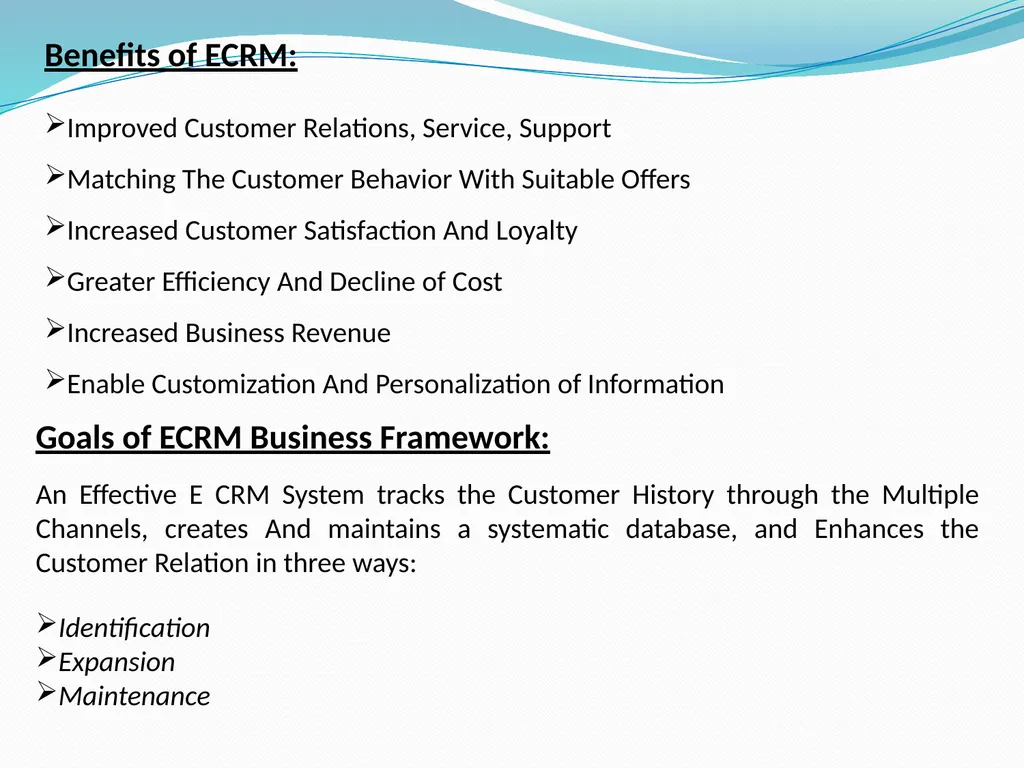 Electronic Customer Relationship Management And - slide 4 of 21