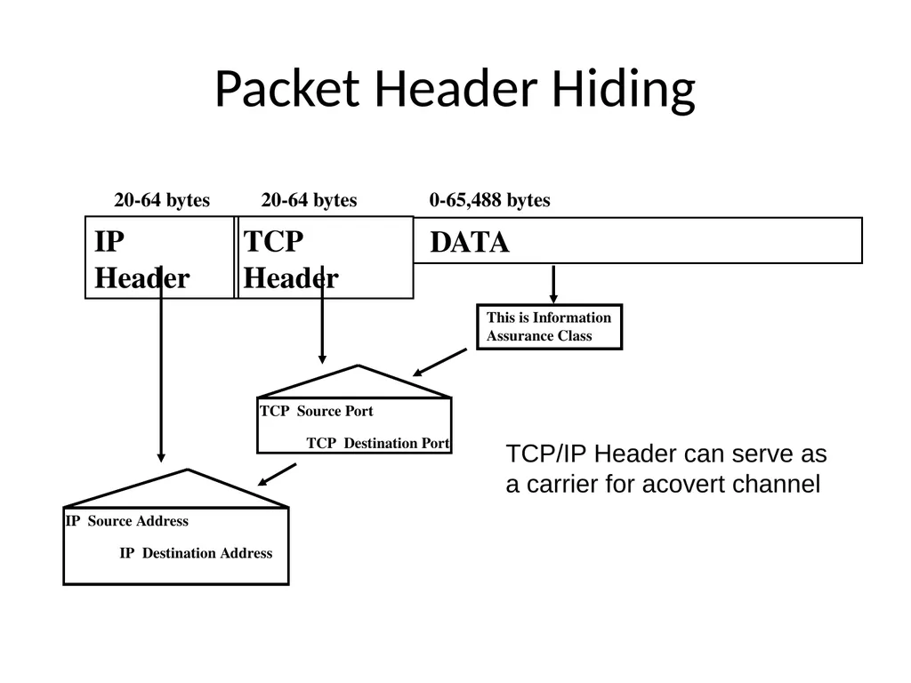 Information Hiding: Covert Channels Amir - slide 16 of 49