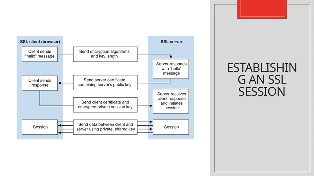 Com 3105 E-Commerce Application Development Hans - slide 42 of 61