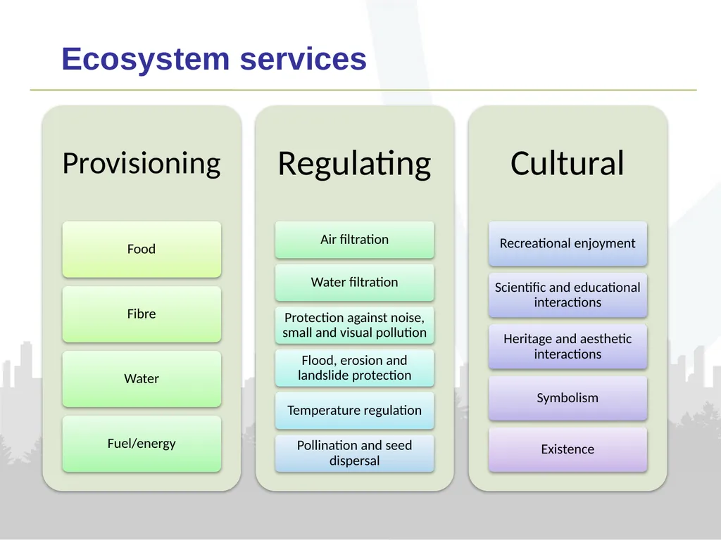 Urban Ecosystem Accounts Emily Connors Office for - slide 8 of 12