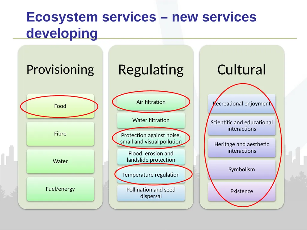 Urban Ecosystem Accounts Emily Connors Office for - slide 9 of 12