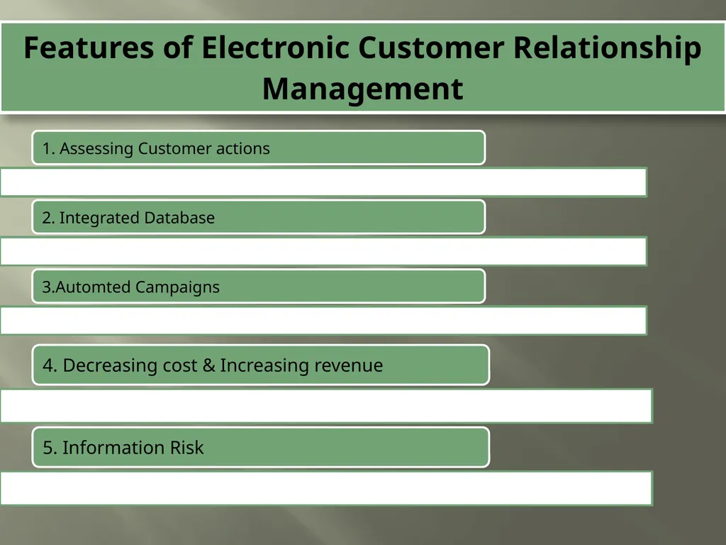 ELECTRONIC CUSTOMER RELATIONSHIP MANAGEMENT (E- - slide 4 of 11