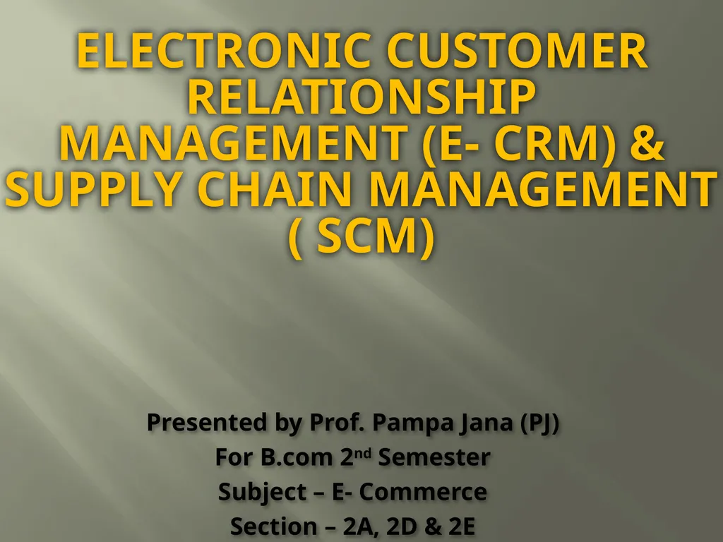 ELECTRONIC CUSTOMER RELATIONSHIP MANAGEMENT (E-