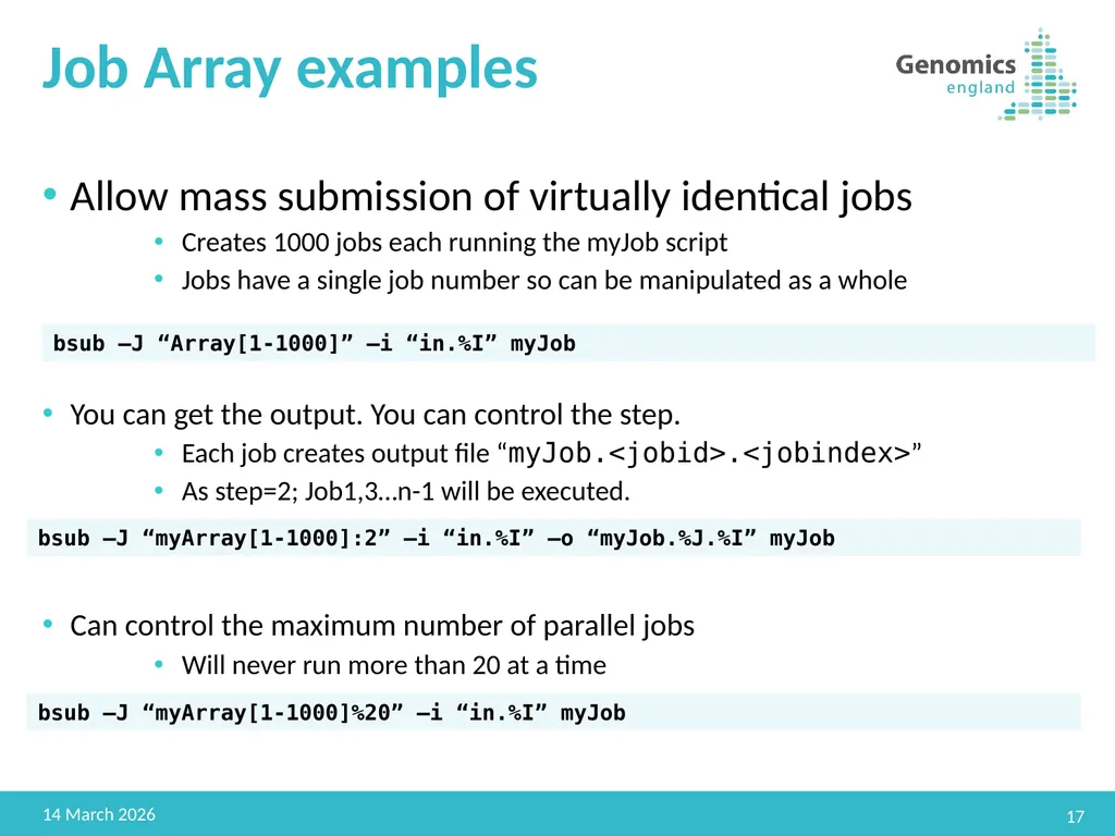 GEL HPC Advanced Jitendra Sougaijam Senior DevOps - slide 17 of 30
