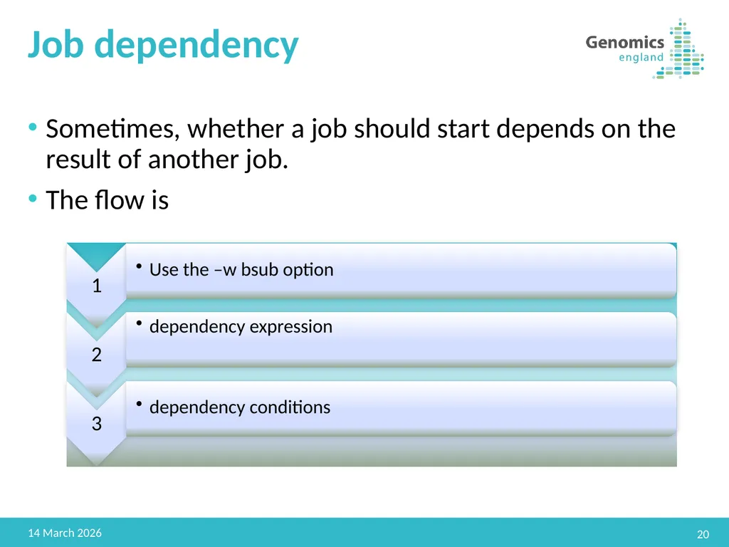 GEL HPC Advanced Jitendra Sougaijam Senior DevOps - slide 20 of 30