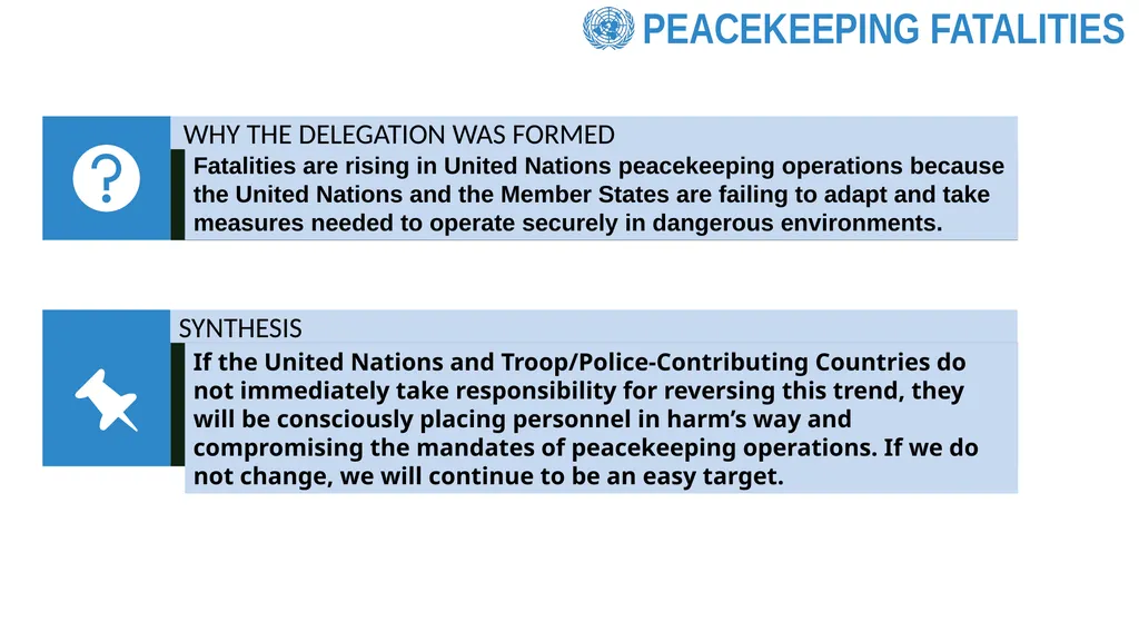 REVIEW OF PEACEKEEPING FATALITIES (SANTOS CRUZ - slide 3 of 12