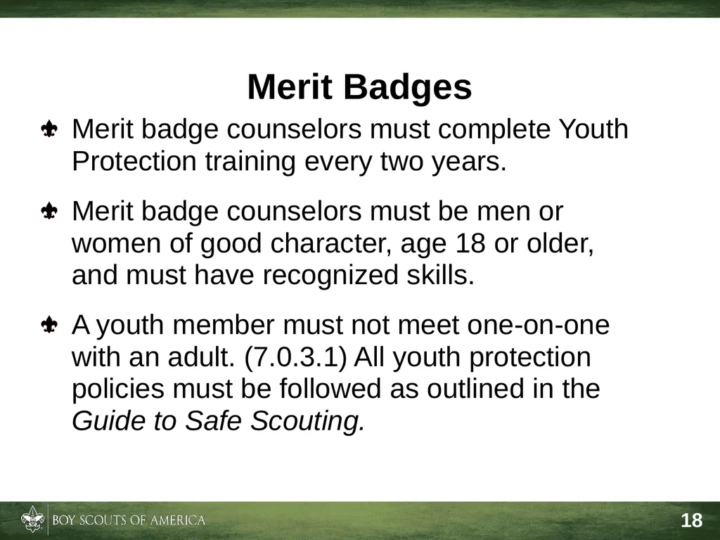 Effective Troop Advancement Expiration Date This - slide 18 of 20