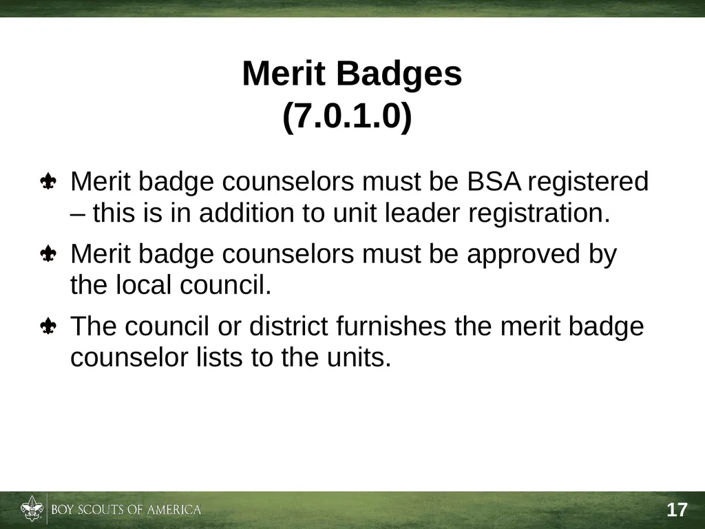 Effective Troop Advancement Expiration Date This - slide 17 of 20