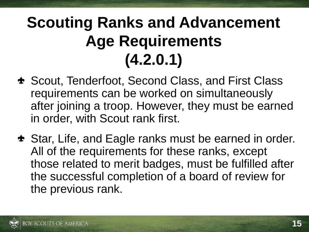Effective Troop Advancement Expiration Date This - slide 15 of 20