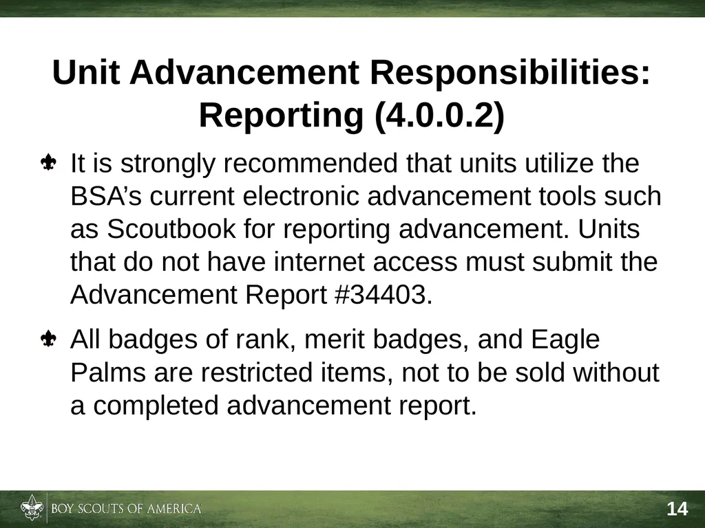 Effective Troop Advancement Expiration Date This - slide 14 of 20