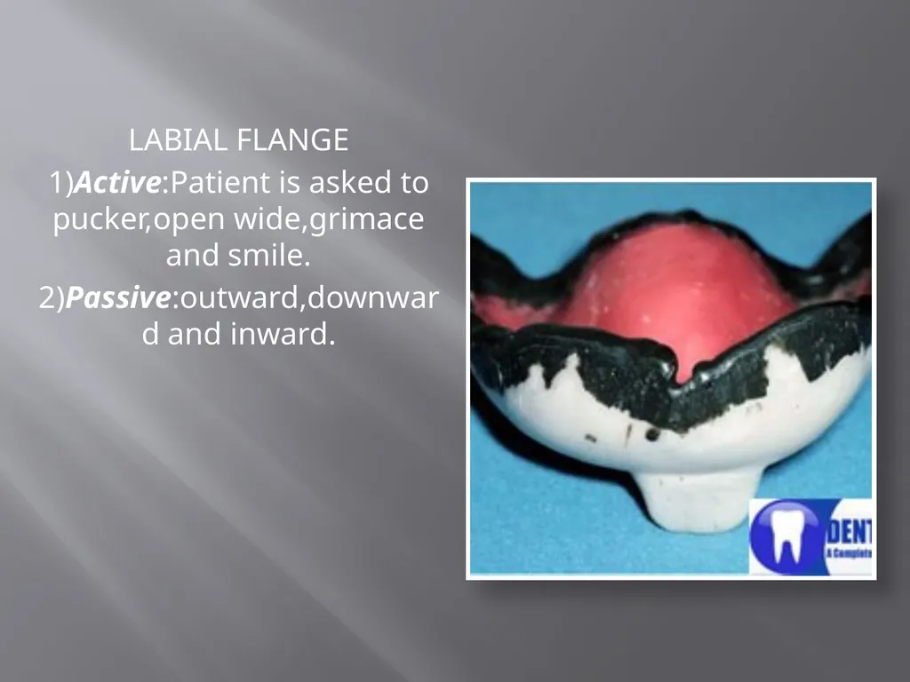 BORDER MOULDING PRESENTED BY- GAURI CAMBLAY - slide 13 of 15