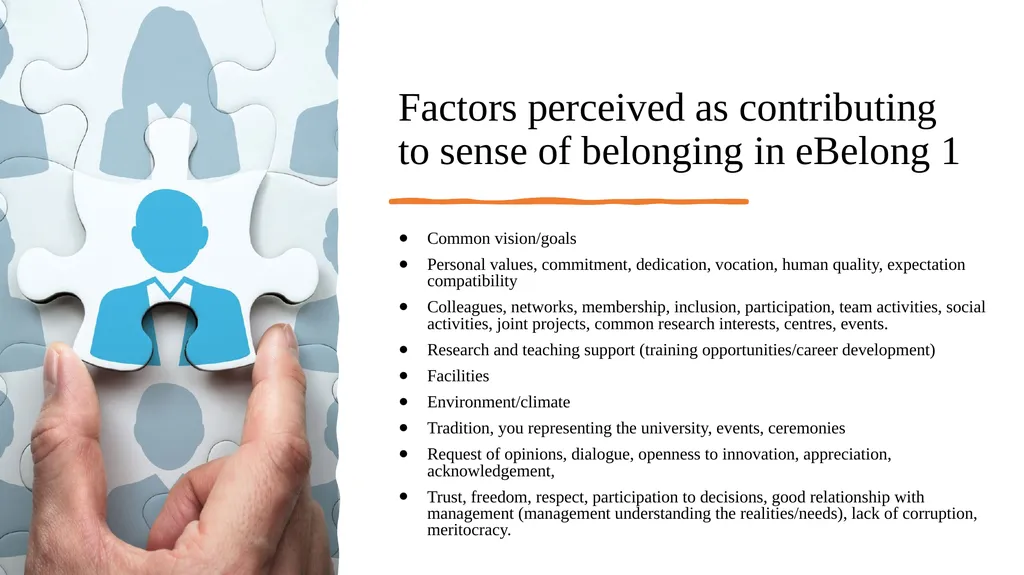 Sense of Belonging in the Context of New HE - slide 3 of 14