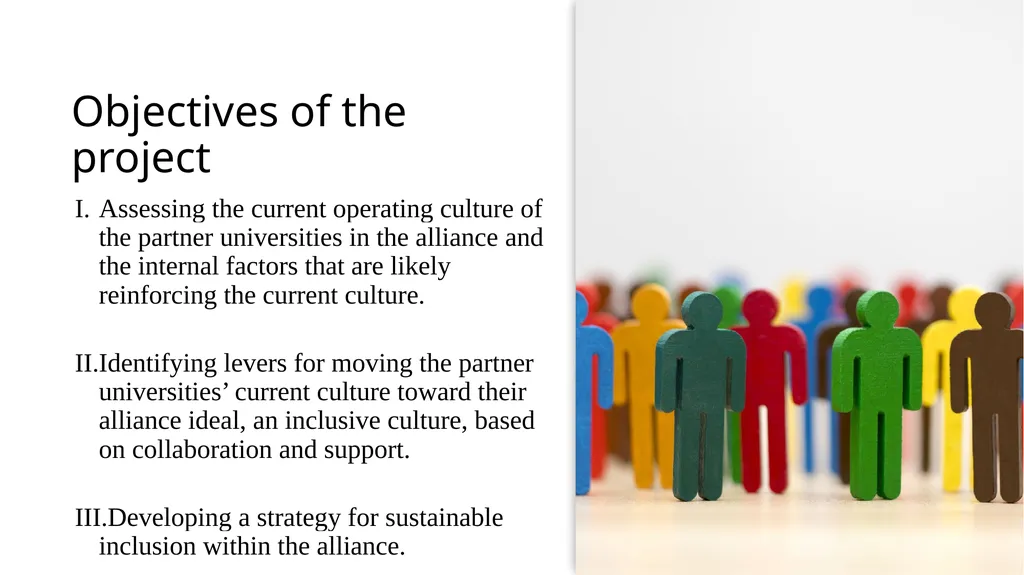 Sense of Belonging in the Context of New HE - slide 7 of 14
