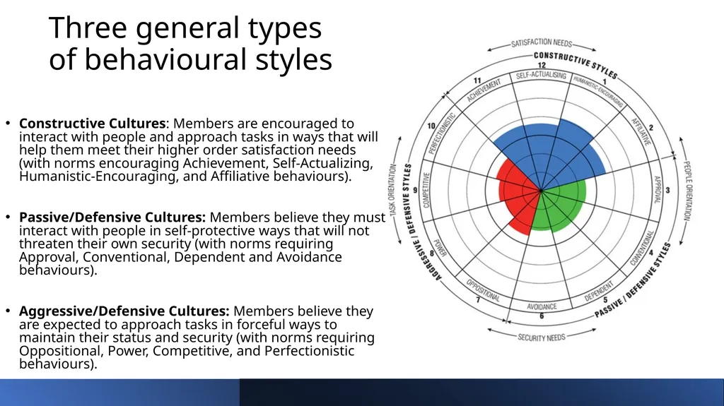 Sense of Belonging in the Context of New HE - slide 11 of 14
