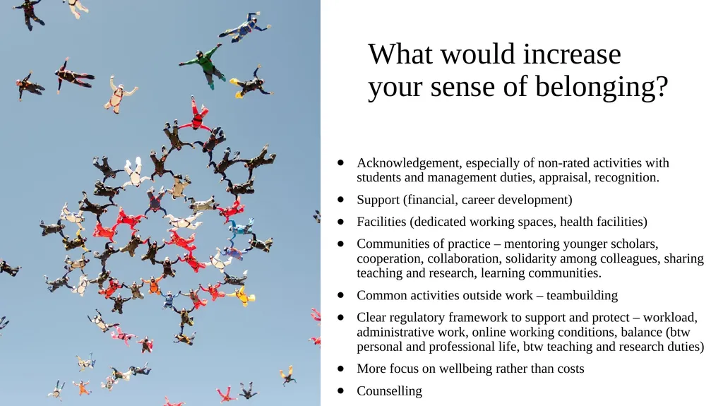 Sense of Belonging in the Context of New HE - slide 4 of 14