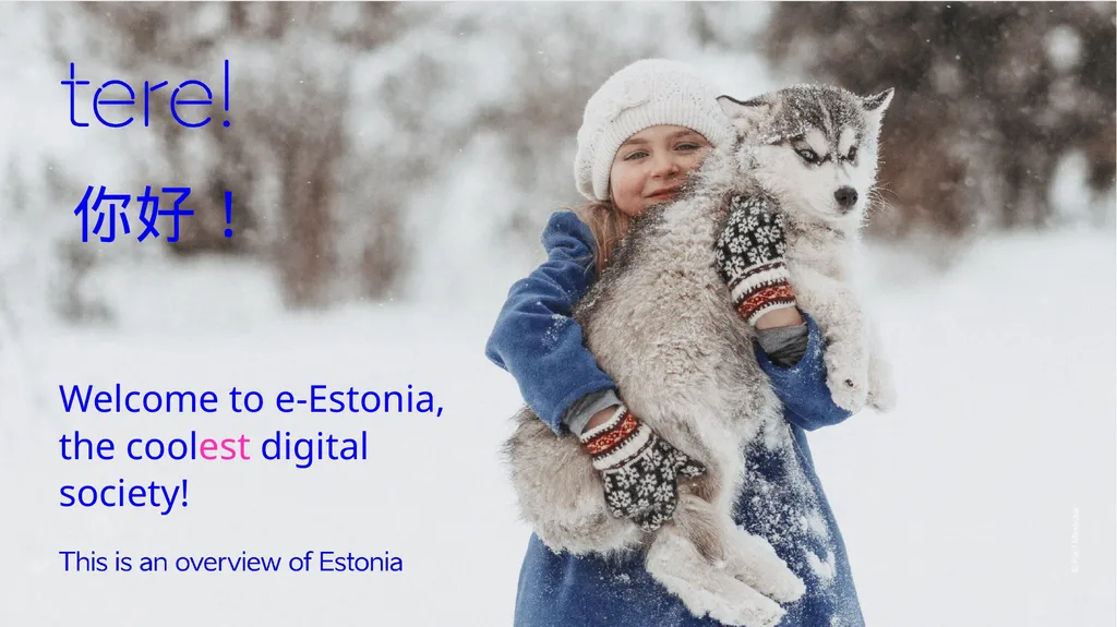 你好！ Welcome to e-Estonia, the coolest digital - slide 1 of 8